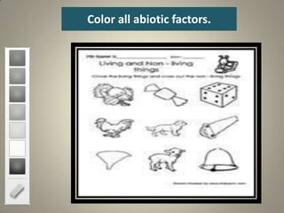 Color all abiotic factors.
 