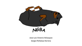 Jose Luis Victoria Velasquez
Sergio Peñaloza Herrera
 