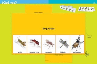 ¿Qué veo?
línea de doblez
línea de
doblez
líneadedoblez
insectos
mosquito libélulahormiga rojagrillo escarabajo
21
AB-PREES-JUEGO-2-P-001-080.indd 21 23/2/11 00:34:45
 