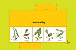 línea de doblez
líneadedoblez
leguminosas
habas garbanzos chícharoslentejas
línea de
doblez
frijoles
AB-PREES-JUEGO-2-P-001-080.indd 26 23/2/11 00:35:33
 