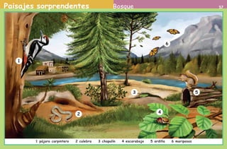 Paisajes sorprendentes 57Bosque
1
2
3
4
5
6
1 pájaro carpintero 2 culebra 3 chapulín 4 escarabajo 5 ardilla 6 mariposas
AB-PREES-JUEGO-2-P-001-080.indd 57 23/2/11 01:09:37
 