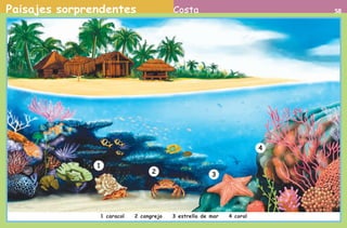 Paisajes sorprendentes 58Costa
1 caracol 2 cangrejo 3 estrella de mar 4 coral
1
2 3
4
AB-PREES-JUEGO-2-P-001-080.indd 58 23/2/11 01:09:39
 