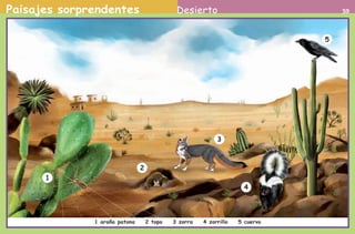 Paisajes sorprendentes 59Desierto
1 araña patona 2 topo 3 zorra 4 zorrillo 5 cuervo
1
5
2
4
3
AB-PREES-JUEGO-2-P-001-080.indd 59 23/2/11 01:09:42
 