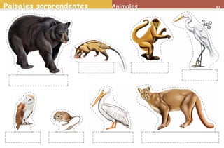 Paisajes sorprendentes 63Animales
AB-PREES-JUEGO-2-P-001-080.indd 63 23/2/11 01:10:25
 