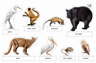 garza
rata canguro
tlacuache
lechuza
oso negro
mono araña
pelícanopuma
AB-PREES-JUEGO-2-P-001-080.indd 64 23/2/11 01:10:29
 