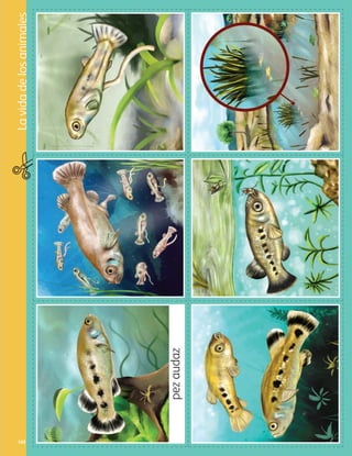 Lavidadelosanimales
103
pezaudaz
AB-PREES-JUEGO-3-P-099-152.indd 103 31/01/13 12:16
 