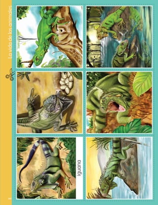 Lavidadelosanimales
107
iguana
AB-PREES-JUEGO-3-P-099-152.indd 107 31/01/13 12:17
 