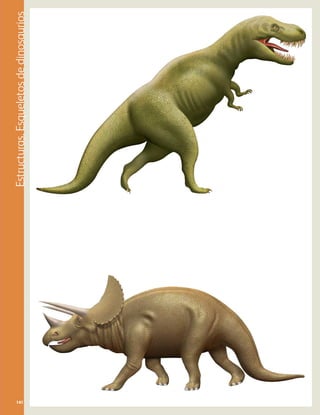 Estructuras.Esqueletosdedinosaurios
141141
AB-PREES-JUEGO-3-P-099-152.indd 141 12/02/13 12:09
 