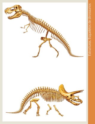 Estructuras.Esqueletosdedinosaurios
AB-PREES-JUEGO-3-P-099-152.indd 142 12/02/13 12:09
 