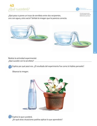 43
¿Qué sucederá?
Formula suposiciones
argumentadas sobre los
fenómenos y procesos.
55
¿En qué otras situaciones podrías aplicar lo que aprendiste?
¿Qué pasa si pones un trozo de servilleta entre dos recipientes,
uno con agua y otro vacío? Señala la imagen que te parezca correcta.
Realiza la actividad experimental.
¿Qué sucedió con la servilleta?
Exploración y
conocimiento del mundo
Explica lo que sucederá.
Explica por qué pasó eso. ¿El resultado del experimento fue como lo habías pensado?
Observa la imagen.
AB-PREES-JUEGO-3-P-001-098.indd 55 12/03/13 11:49
 