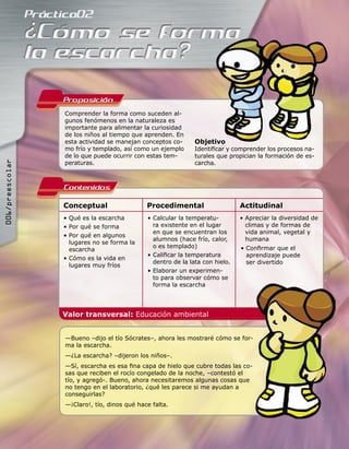 Proposicion
                 Comprender la forma como suceden al-
                 gunos fenómenos en la naturaleza es
                 importante para alimentar la curiosidad
                 de los niños al tiempo que aprenden. En
                 esta actividad se manejan conceptos co-      Objetivo
                 mo frío y templado, así como un ejemplo      Identiﬁcar y comprender los procesos na-
                 de lo que puede ocurrir con estas tem-       turales que propician la formación de es-
006/preescolar




                 peraturas.                                   carcha.



                 Contenidos
                 Conceptual                  Procedimental                    Actitudinal
                 • Qué es la escarcha        • Calcular la temperatu-         • Apreciar la diversidad de
                 • Por qué se forma            ra existente en el lugar         climas y de formas de
                                               en que se encuentran los         vida animal, vegetal y
                 • Por qué en algunos
                                               alumnos (hace frío, calor,       humana
                   lugares no se forma la
                                               o es templado)                 • Conﬁrmar que el
                   escarcha
                                             • Caliﬁcar la temperatura          aprendizaje puede
                 • Cómo es la vida en
                                               dentro de la lata con hielo.     ser divertido
                   lugares muy fríos
                                             • Elaborar un experimen-
                                               to para observar cómo se
                                               forma la escarcha




                 Valor transversal: Educación ambiental


                 —Bueno –dijo el tío Sócrates–, ahora les mostraré cómo se for-
                 ma la escarcha.
                 —¿La escarcha? –dijeron los niños–.
                 —Sí, escarcha es esa ﬁna capa de hielo que cubre todas las co-
                 sas que reciben el rocío congelado de la noche, –contestó el
                 tío, y agregó-. Bueno, ahora necesitaremos algunas cosas que
                 no tengo en el laboratorio, ¿qué les parece si me ayudan a
                 conseguirlas?
                 —¡Claro!, tío, dinos qué hace falta.
 