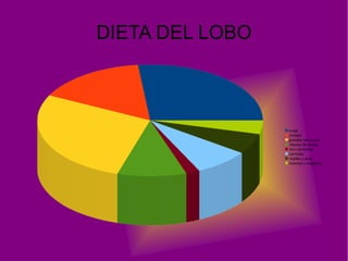 La ballena azul mide entre 24 y 27 metros de longitud y pesa entre 100 y 120 toneladas. 