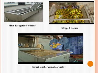 Fruit & Vegetable washer
Stepped washer
Bucket Washer cum chlorinate
 
