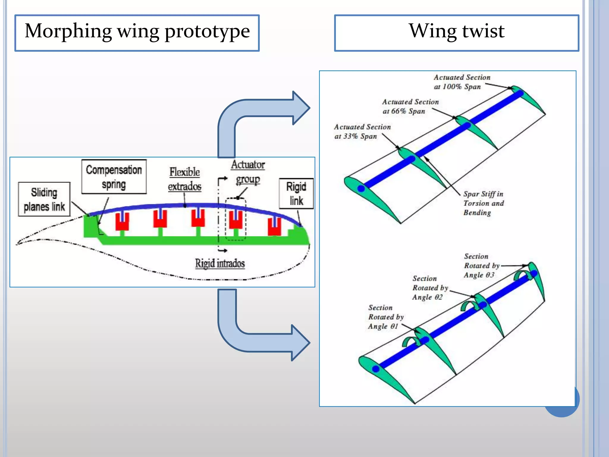 morphing wings | PPSX