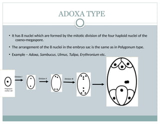 Preeti Sahu-types of embryo sac.pptx from biology | PPTX