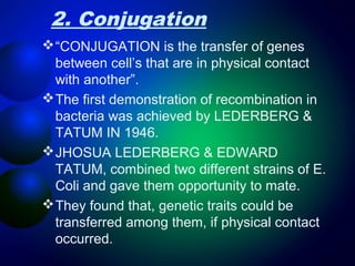 2. Conjugation 
“CONJUGATION is the transfer of genes 
between cell’s that are in physical contact 
with another”. 
The first demonstration of recombination in 
bacteria was achieved by LEDERBERG & 
TATUM IN 1946. 
JHOSUA LEDERBERG & EDWARD 
TATUM, combined two different strains of E. 
Coli and gave them opportunity to mate. 
They found that, genetic traits could be 
transferred among them, if physical contact 
occurred. 
 