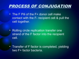 PROCESS OF CONJUGATION 
• The F Pili of the F+ donor cell make 
contact with the F- recipient cell & pull the 
cell together. 
• Rolling circle replication transfer one 
strand of the F factor into the recipient 
cell. 
• Transfer of F factor is completed, yielding 
two F+ factor bacteria. 
 