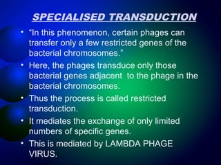 SPECIALISED TRANSDUCTION 
• “In this phenomenon, certain phages can 
transfer only a few restricted genes of the 
bacterial chromosomes.” 
• Here, the phages transduce only those 
bacterial genes adjacent to the phage in the 
bacterial chromosomes. 
• Thus the process is called restricted 
transduction. 
• It mediates the exchange of only limited 
numbers of specific genes. 
• This is mediated by LAMBDA PHAGE 
VIRUS. 
 