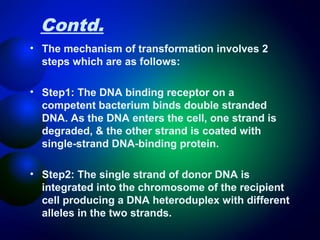 Contd. 
• The mechanism of transformation involves 2 
steps which are as follows: 
• Step1: The DNA binding receptor on a 
competent bacterium binds double stranded 
DNA. As the DNA enters the cell, one strand is 
degraded, & the other strand is coated with 
single-strand DNA-binding protein. 
• Step2: The single strand of donor DNA is 
integrated into the chromosome of the recipient 
cell producing a DNA heteroduplex with different 
alleles in the two strands. 
 