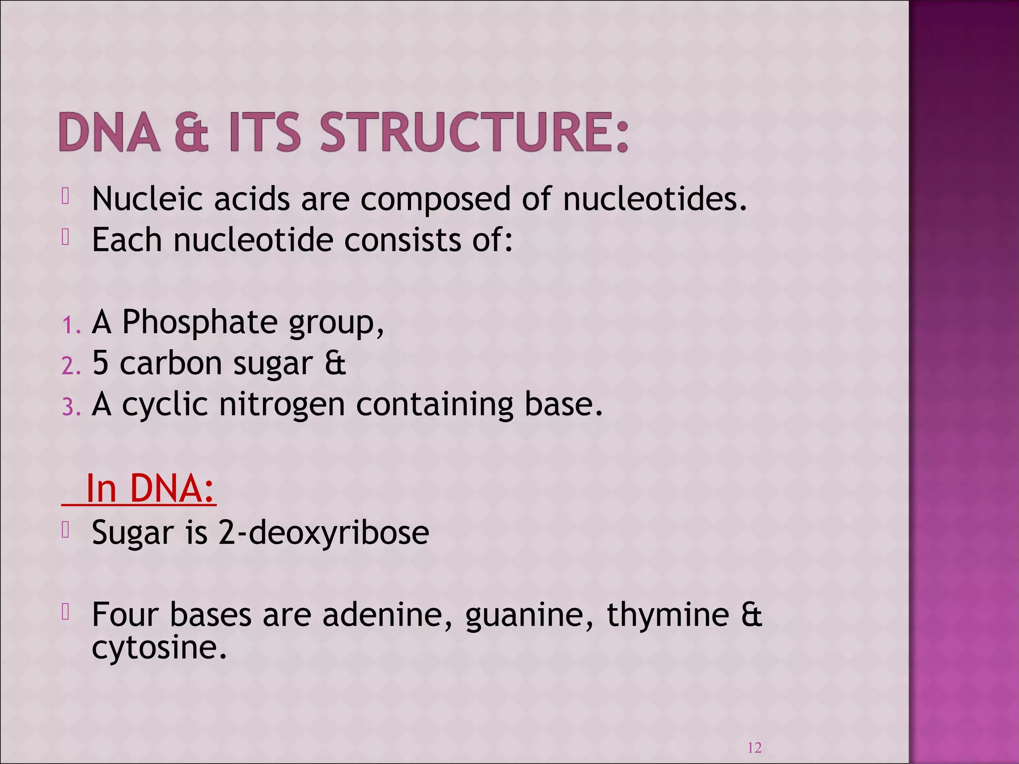  Nucleic acids are composed of nucleotides. 
 Each nucleotide consists of: 
12 
1. A Phosphate group, 
2. 5 carbon sugar & 
3. A cyclic nitrogen containing base. 
In DNA: 
 Sugar is 2-deoxyribose 
 Four bases are adenine, guanine, thymine & 
cytosine. 
 