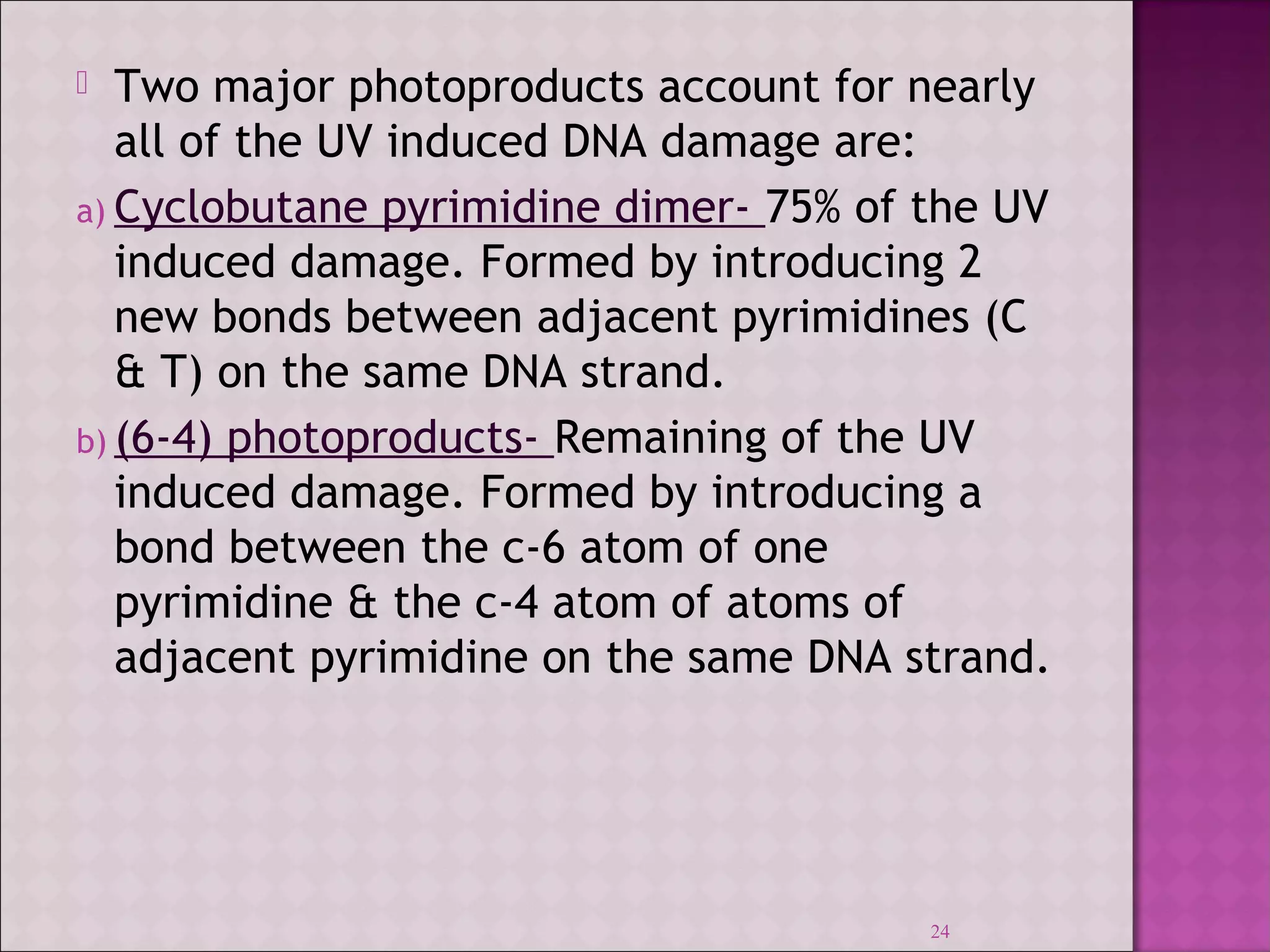  Two major photoproducts account for nearly 
all of the UV induced DNA damage are: 
a) Cyclobutane pyrimidine dimer- 75% of the UV 
induced damage. Formed by introducing 2 
new bonds between adjacent pyrimidines (C 
& T) on the same DNA strand. 
b) (6-4) photoproducts- Remaining of the UV 
induced damage. Formed by introducing a 
bond between the c-6 atom of one 
pyrimidine & the c-4 atom of atoms of 
adjacent pyrimidine on the same DNA strand. 
24 
 