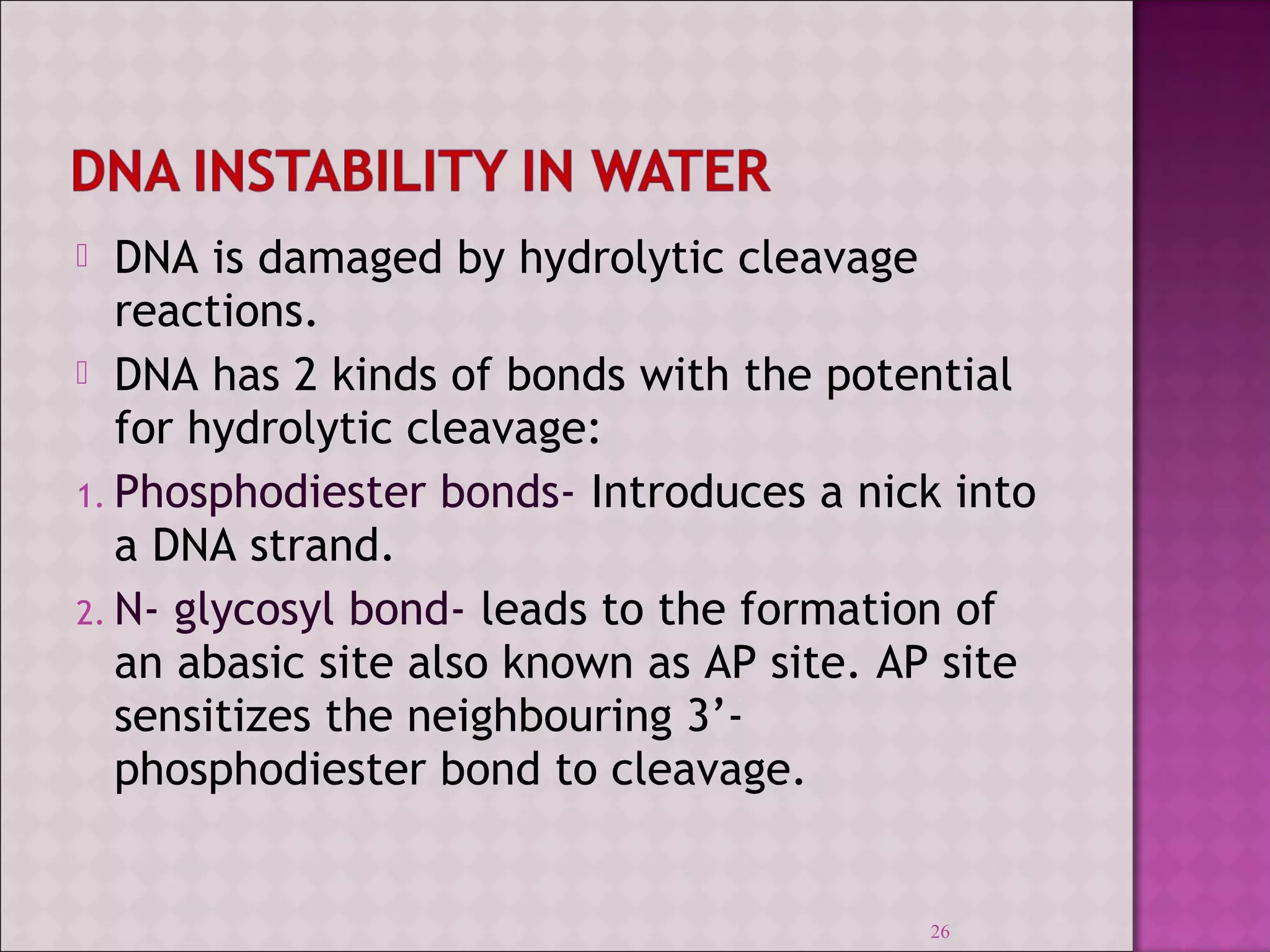  DNA is damaged by hydrolytic cleavage 
reactions. 
 DNA has 2 kinds of bonds with the potential 
for hydrolytic cleavage: 
1. Phosphodiester bonds- Introduces a nick into 
a DNA strand. 
2. N- glycosyl bond- leads to the formation of 
an abasic site also known as AP site. AP site 
sensitizes the neighbouring 3’- 
phosphodiester bond to cleavage. 
26 
 
