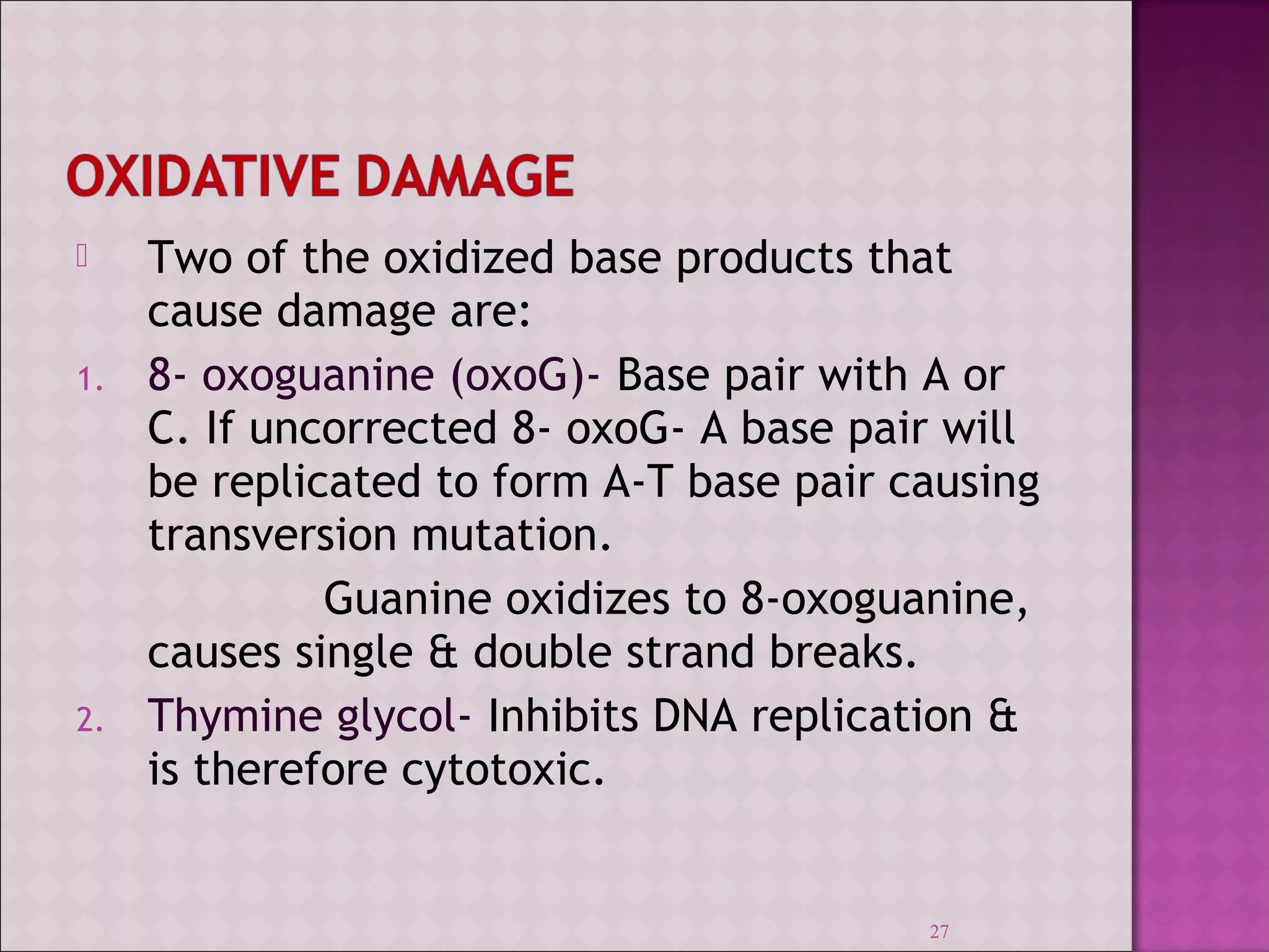  Two of the oxidized base products that 
cause damage are: 
1. 8- oxoguanine (oxoG)- Base pair with A or 
C. If uncorrected 8- oxoG- A base pair will 
be replicated to form A-T base pair causing 
transversion mutation. 
Guanine oxidizes to 8-oxoguanine, 
causes single & double strand breaks. 
2. Thymine glycol- Inhibits DNA replication & 
is therefore cytotoxic. 
27 
 