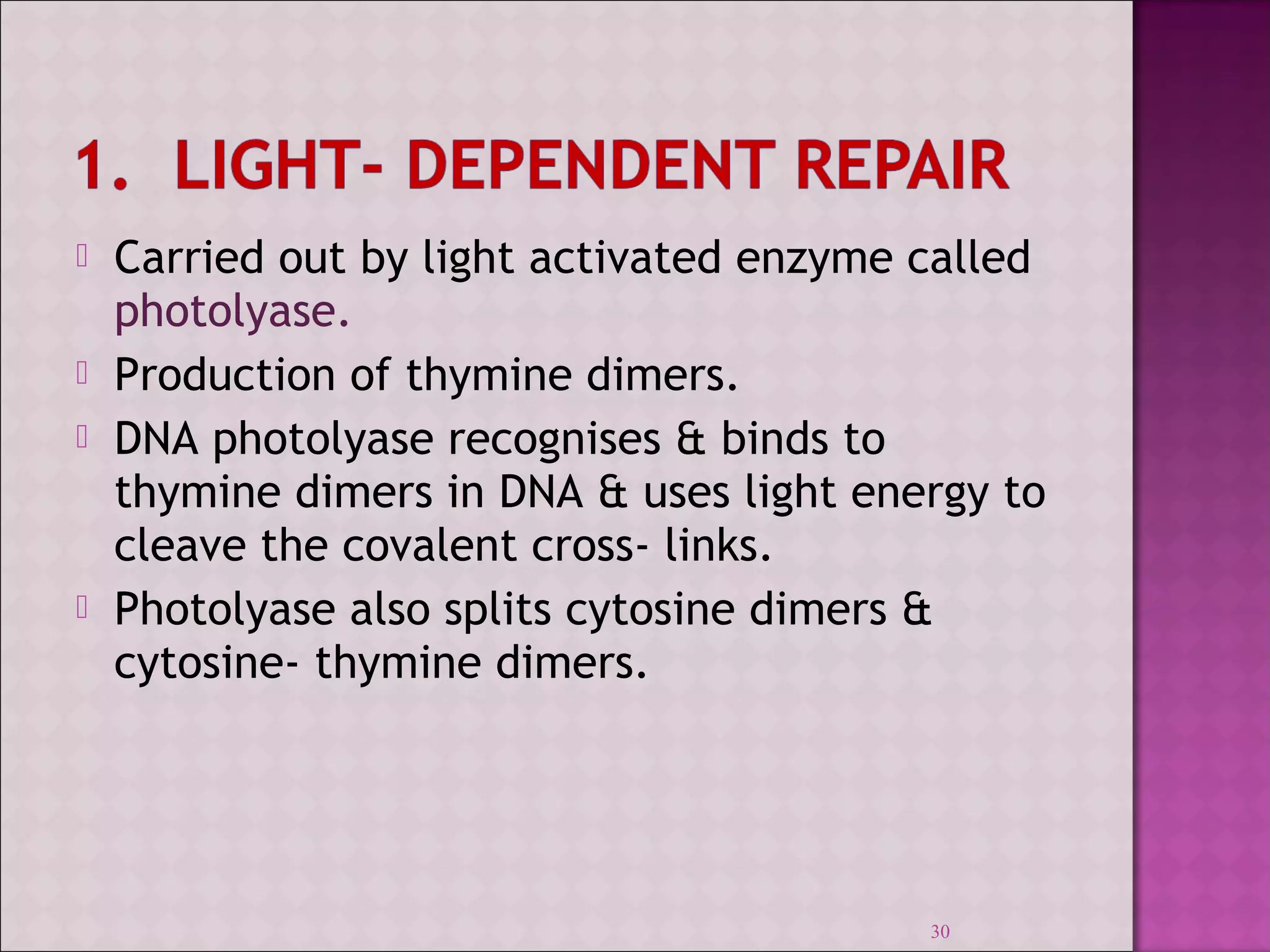  Carried out by light activated enzyme called 
photolyase. 
 Production of thymine dimers. 
 DNA photolyase recognises & binds to 
thymine dimers in DNA & uses light energy to 
cleave the covalent cross- links. 
 Photolyase also splits cytosine dimers & 
cytosine- thymine dimers. 
30 
 