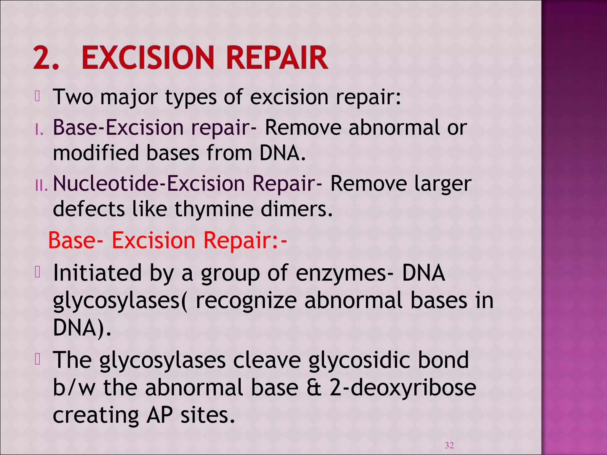  Two major types of excision repair: 
I. Base-Excision repair- Remove abnormal or 
modified bases from DNA. 
II. Nucleotide-Excision Repair- Remove larger 
defects like thymine dimers. 
Base- Excision Repair:- 
 Initiated by a group of enzymes- DNA 
glycosylases( recognize abnormal bases in 
DNA). 
 The glycosylases cleave glycosidic bond 
b/w the abnormal base & 2-deoxyribose 
creating AP sites. 
32 
 