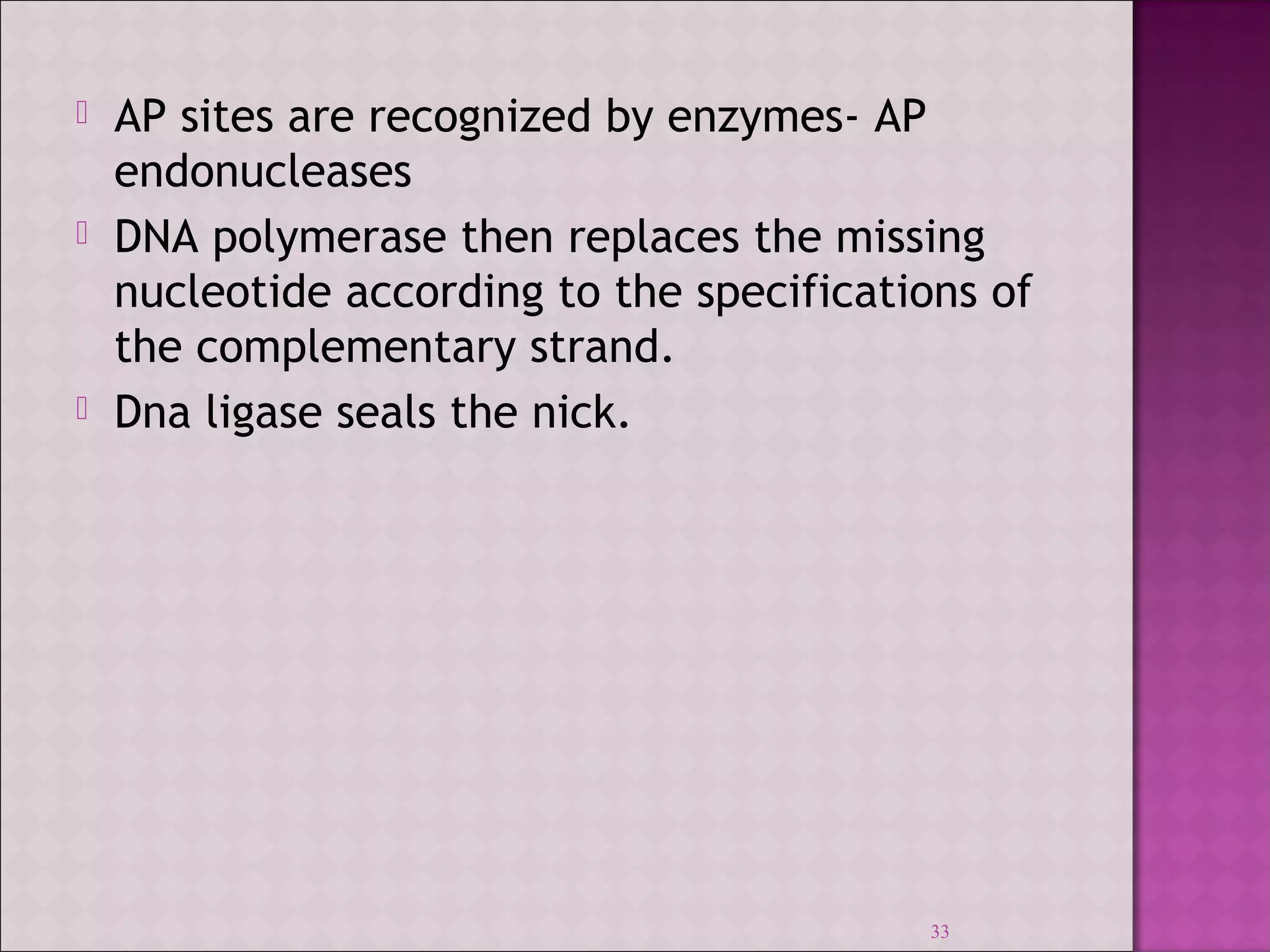  AP sites are recognized by enzymes- AP 
endonucleases 
 DNA polymerase then replaces the missing 
nucleotide according to the specifications of 
the complementary strand. 
 Dna ligase seals the nick. 
33 
 