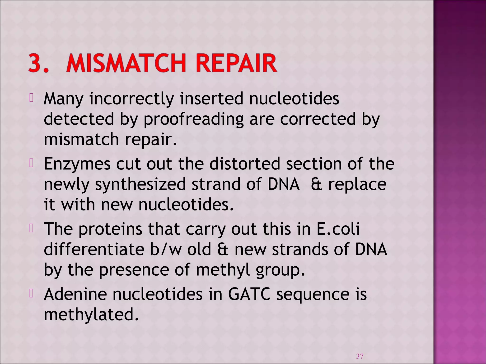 Many incorrectly inserted nucleotides 
detected by proofreading are corrected by 
mismatch repair. 
 Enzymes cut out the distorted section of the 
newly synthesized strand of DNA & replace 
it with new nucleotides. 
 The proteins that carry out this in E.coli 
differentiate b/w old & new strands of DNA 
by the presence of methyl group. 
 Adenine nucleotides in GATC sequence is 
methylated. 
37 
 