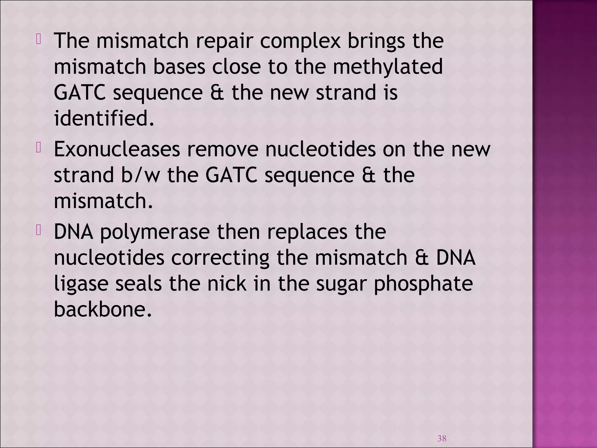  The mismatch repair complex brings the 
mismatch bases close to the methylated 
GATC sequence & the new strand is 
identified. 
 Exonucleases remove nucleotides on the new 
strand b/w the GATC sequence & the 
mismatch. 
 DNA polymerase then replaces the 
nucleotides correcting the mismatch & DNA 
ligase seals the nick in the sugar phosphate 
backbone. 
38 
 