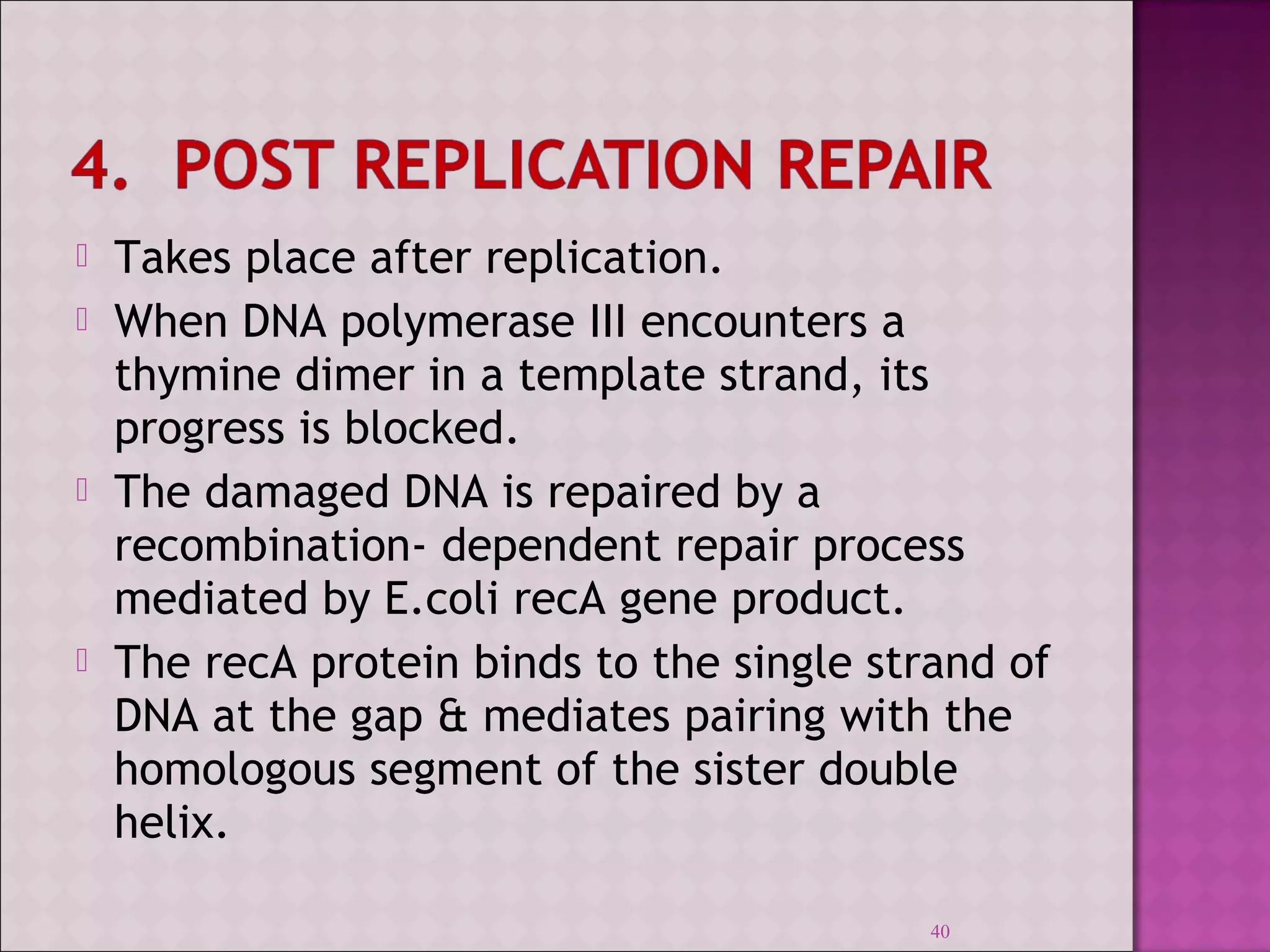  Takes place after replication. 
 When DNA polymerase III encounters a 
thymine dimer in a template strand, its 
progress is blocked. 
 The damaged DNA is repaired by a 
recombination- dependent repair process 
mediated by E.coli recA gene product. 
 The recA protein binds to the single strand of 
DNA at the gap & mediates pairing with the 
homologous segment of the sister double 
helix. 
40 
 