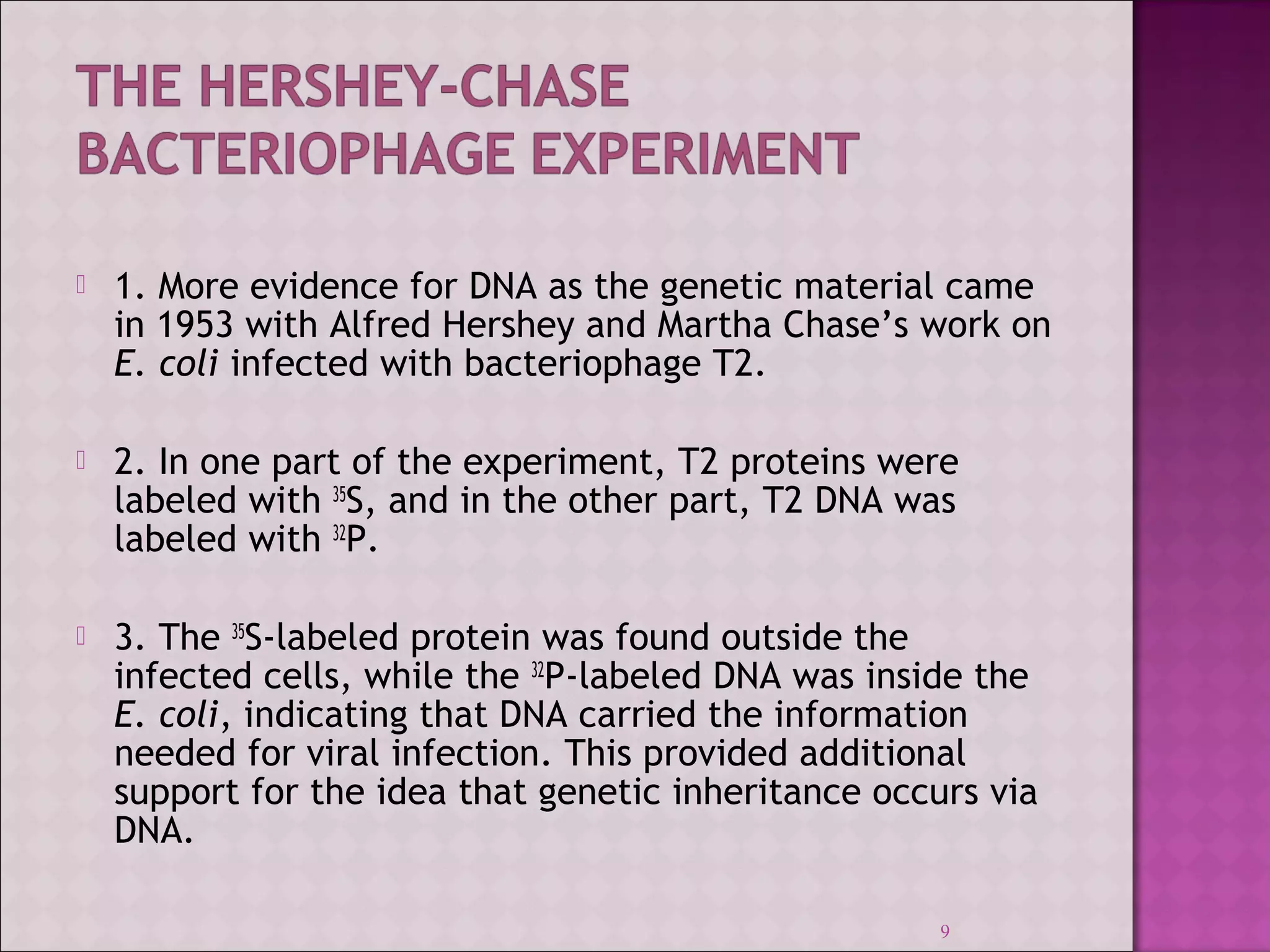  1. More evidence for DNA as the genetic material came 
in 1953 with Alfred Hershey and Martha Chase’s work on 
E. coli infected with bacteriophage T2. 
 2. In one part of the experiment, T2 proteins were 
labeled with 35S, and in the other part, T2 DNA was 
labeled with 32P. 
 3. The 35S-labeled protein was found outside the 
infected cells, while the 32P-labeled DNA was inside the 
E. coli, indicating that DNA carried the information 
needed for viral infection. This provided additional 
support for the idea that genetic inheritance occurs via 
DNA. 
9 
 