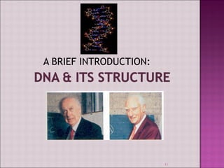 A BRIEF INTRODUCTION: 
11 
 