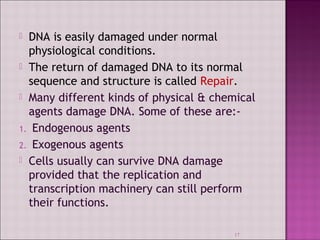 DNA is easily damaged under normal 
physiological conditions. 
 The return of damaged DNA to its normal 
sequence and structure is called Repair. 
 Many different kinds of physical & chemical 
agents damage DNA. Some of these are:- 
1. Endogenous agents 
2. Exogenous agents 
 Cells usually can survive DNA damage 
provided that the replication and 
transcription machinery can still perform 
their functions. 
17 
 
