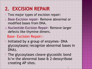  Two major types of excision repair: 
I. Base-Excision repair- Remove abnormal or 
modified bases from DNA. 
II. Nucleotide-Excision Repair- Remove larger 
defects like thymine dimers. 
Base- Excision Repair:- 
 Initiated by a group of enzymes- DNA 
glycosylases( recognize abnormal bases in 
DNA). 
 The glycosylases cleave glycosidic bond 
b/w the abnormal base & 2-deoxyribose 
creating AP sites. 
32 
 