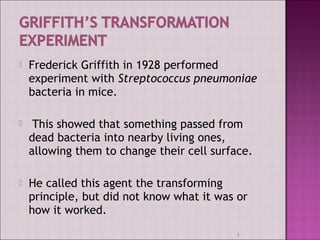  Frederick Griffith in 1928 performed 
experiment with Streptococcus pneumoniae 
bacteria in mice. 
 This showed that something passed from 
dead bacteria into nearby living ones, 
allowing them to change their cell surface. 
 He called this agent the transforming 
principle, but did not know what it was or 
how it worked. 
5 
 