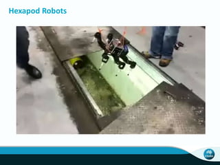 Hexapod Robots 
 