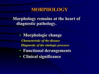 Morphologic change Characteristic of the disease Diagnostic of the etiologic proceess Functional derangements Clinical significance MORPHOLOGY Morphology remains at the heart of diagnostic pathology. 