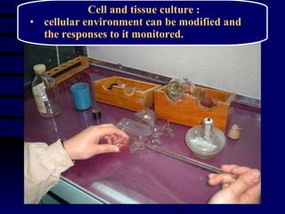 Cell and tissue culture :  cellular environment can be modified and the responses to it monitored.  