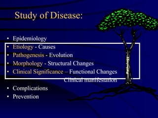 Study of Disease: Epidemiology Etiology  - Causes Pathogenesis  - Evolution  Morphology -  Structural Changes Clinical   Significance –  Functional Changes Clinical manifestation Complications Prevention Pathology 