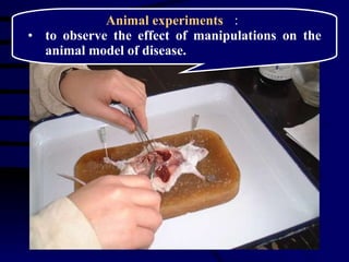 Animal experiments   ： to  observe the effect of   manipulations on the animal model of disease . 