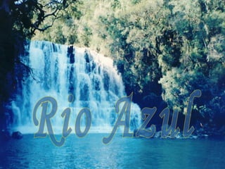 Rio Azul 