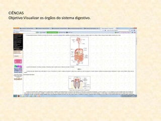 CIÊNCIAS
Objetivo:Visualizar os órgãos do sistema digestivo.
 