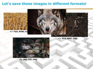 => TGA; RAW; CDR
=> PCX; BMP; PSD
=> JPG; TIF; PNG
Let's save these images in different formats!
 