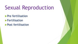 Pre fertilisation
Fertilisation
Post fertilisation
Sexual Reproduction
 