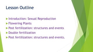 Lesson Outline
 Introduction: Sexual Reproduction
 Flowering Plants
 Post fertilization: structures and events
 Double fertilization
 Post fertilization: structures and events.
 