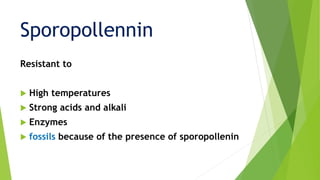 Resistant to
 High temperatures
 Strong acids and alkali
 Enzymes
 fossils because of the presence of sporopollenin
Sporopollennin
 