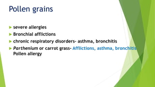  severe allergies
 Bronchial afflictions
 chronic respiratory disorders– asthma, bronchitis
 Parthenium or carrot grass- Afflictions, asthma, bronchitis
Pollen allergy
Pollen grains
 